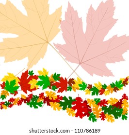 Autumn background with maple and oak leaves