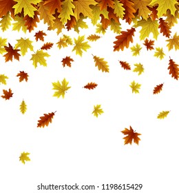 Autumn background with maple and oak leaves