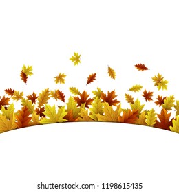 Autumn background with maple and oak leaves
