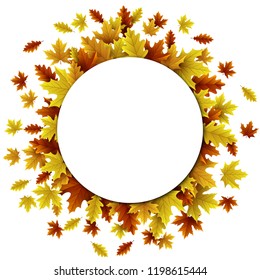 Autumn background with maple and oak leaves
