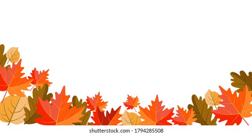 Autumn background with maple and oak leaves. Vector illustration isolated on white background.