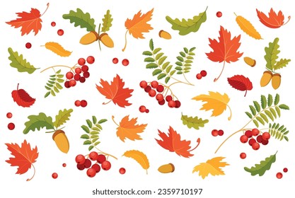 Fondo otoñal con hojas de arce, roble y rowan. Plantilla de fondo con hojas voladoras y caídas. Patrón colorido con varias hojas de otoño, bayas y nueces. Aislado. Ilustración del vector