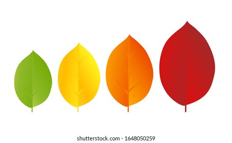Autumn background with multicolored leaves