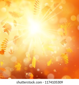Autumn background with natural leaves and bright sunlight. EPS 10