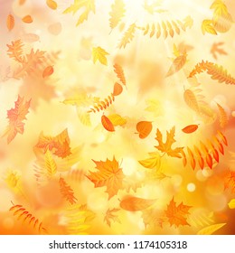 Autumn background with natural leaves and bright sunlight. EPS 10
