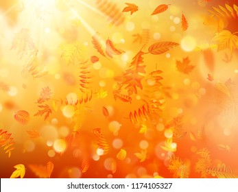 Autumn background with natural leaves and bright sunlight. EPS 10