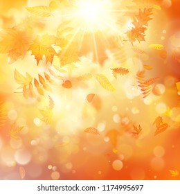 Autumn background with natural leaves and bright sunlight. EPS 10