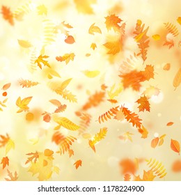 Autumn background with natural leaves and bright sunlight. EPS 10