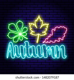 Autumn background, neon inscription. Colorful oak leaves of chestnut and maple. To attract customers to promotions, discounts, sales. Against the background of a brick wall.