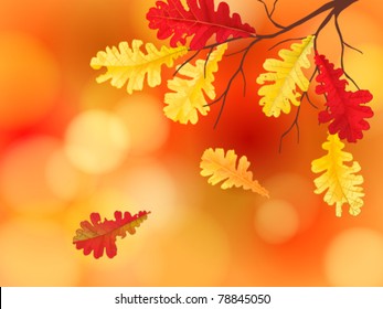 autumn background with oak leaves
