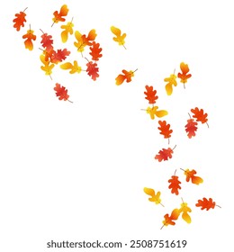 Autumn background with oak leaves. Autumn composition of oak leaves. Autumn overlay on white background.