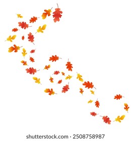 Autumn background with oak leaves. Autumn composition of oak leaves. Autumn overlay on white background.