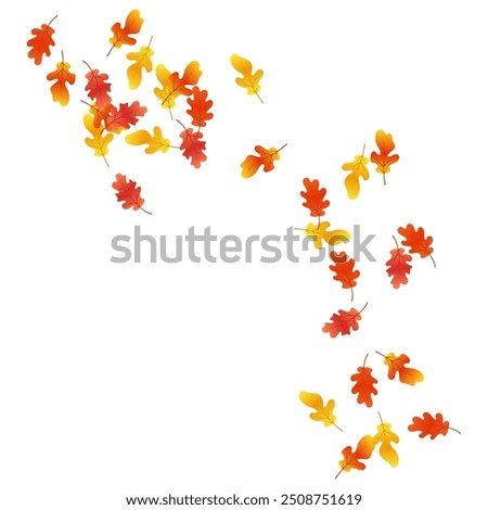 Autumn background with oak leaves. Autumn composition of oak leaves. Autumn overlay on white background.