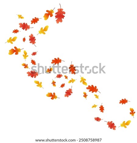 Autumn background with oak leaves. Autumn composition of oak leaves. Autumn overlay on white background.