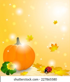 Autumn background with orange pumpkin and ladybug