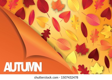 Autumn background. Orange and red falling leaves, glowing lights garland and peeling off wrapping paper. Seasonal design concept. Vector illustration.