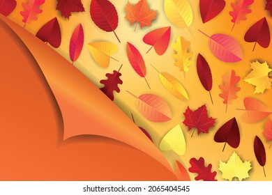 Autumn background. Orange and red falling leaves, glowing lights garland and peeling off wrapping paper. Seasonal design concept. Vector illustration.