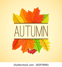 Autumn background. Orange yellow fall leaves and text.