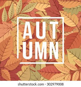 Autumn background. Orange yellow fall leaves and text.