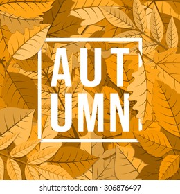 Autumn background. Orange yellow fall leaves and text.