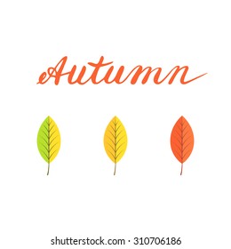 Autumn Background with Orange, Yellow and Red Leaves
