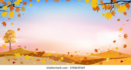 Autumn background with pastel sky,Maple leaves in orange and red leaves flying with the wind, Fall season concept with maplee leaves foliage with copy space, Vector banner for Autumnal sale