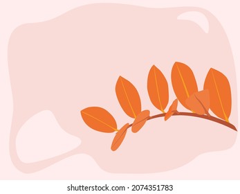 Autumn background posenttia, physalis, orange leaf, vector illustration