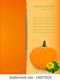 Autumn background with pumkin
