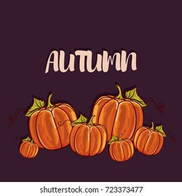 Autumn background with pumpkin