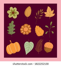 Herbsthintergrund Kürbis Blumen Blatt Ahornzweig Symbole Vektorgrafik