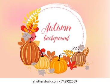 Autumn background with pumpkins, autumn leaves, vector illustration.Autumn banner with frame for text. 