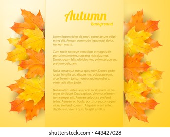Autumn background with realistic maple leaves. Vector back to school banner. Thanksgiving Day greeting card