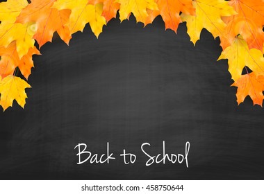 Autumn background with realistic autumn maple leaves on blackboard. Vector back to school chalkboard banner