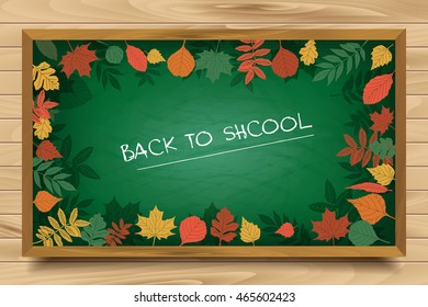 Autumn background with realistic autumn maple leaves on blackboard. Vector back to school chalkboard banner