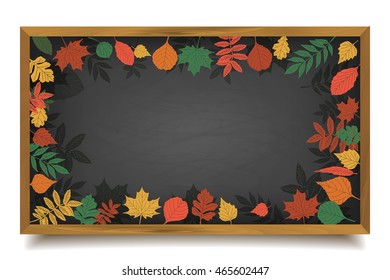 Autumn background with realistic autumn maple leaves on blackboard. Vector back to school chalkboard banner