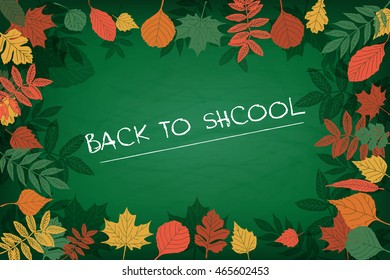 Autumn background with realistic autumn maple leaves on blackboard. Vector back to school chalkboard banner