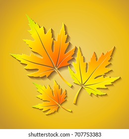  Autumn background with realistic maple leaves. Vector illustration