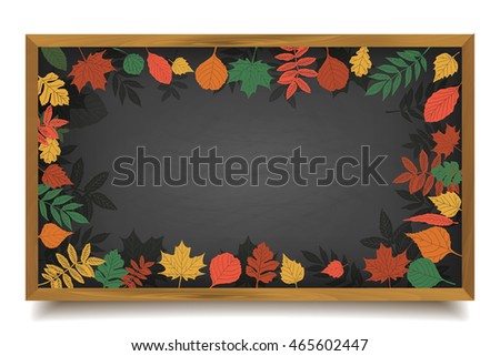 Autumn background with realistic autumn maple leaves on blackboard. Vector back to school chalkboard banner