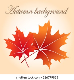 Autumn background with red maple leaves