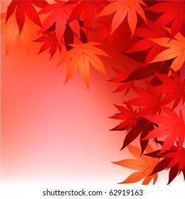Autumn background with red maple leaves