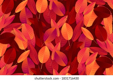 Autumn background with red and orange leaves. Realistic vector iluustration.