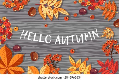 Autumn background of red rowan berries and yellow chestnut leaves on a wooden background. Hello, Autumn. Vector image.