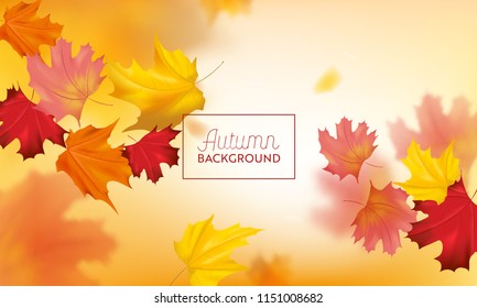Autumn Background with Red and Yellow Maple Leaves. Nature Fall Seasonal Design Template for Web Banner, Leaflet, Sale, Poster. Vector illustration