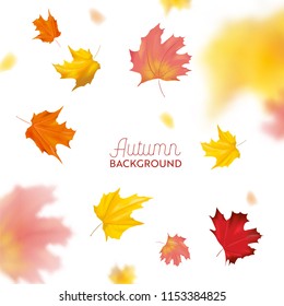Autumn Background with Red and Yellow Maple Leaves. Nature Fall Seasonal Design Template for Web Banner, Leaflet, Sale, Poster. Vector illustration