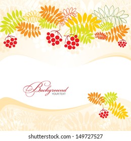 Autumn background with rowan