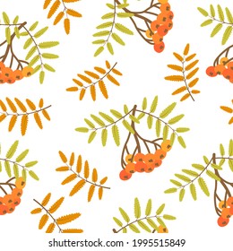 autumn background with rowanberry. seamless pattern floral. vector
