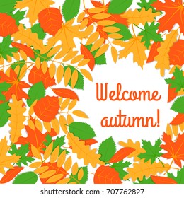 autumn background of scattered bright leaves of trees