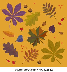 Autumn background seamless pattern with colorful leaves
