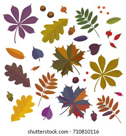 Autumn background seamless pattern with colorful stylized leaves