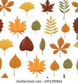 Autumn background. Seamless pattern with autumn various leaves. Print for fabric, web page background, scrapbooking and wrapping paper. Vector illustration on white background.